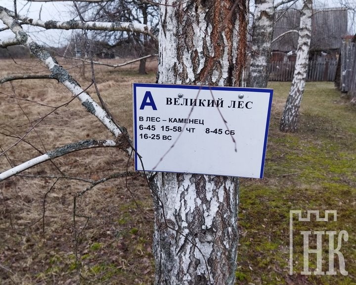 Как пробуждается Великий Лес. В маленькую пущанскую деревню возвращаются люди