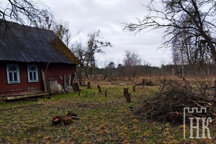 Как пробуждается Великий Лес. В маленькую пущанскую деревню возвращаются люди