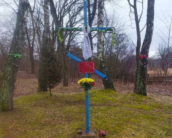 Как пробуждается Великий Лес. В маленькую пущанскую деревню возвращаются люди