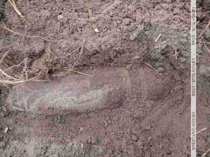 В Брестской области cельчанин обнаружил снаряд на своем участке