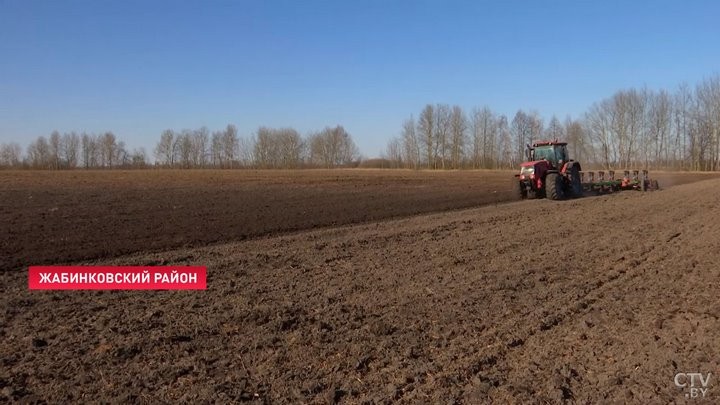 В Брестской области выборочно начали сев ранних яровых культур. Зачем хозяйства пошли на эксперимент с погодой?