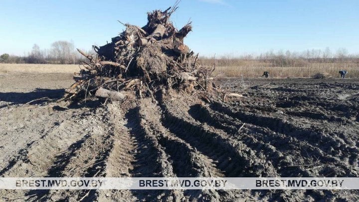 Житель Бреста поехал в деревню и нашел на приусадебном участке артиллерийский снаряд