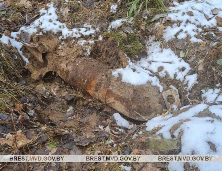 В Брестской области мужчина гулял с собакой и нашёл бомбу