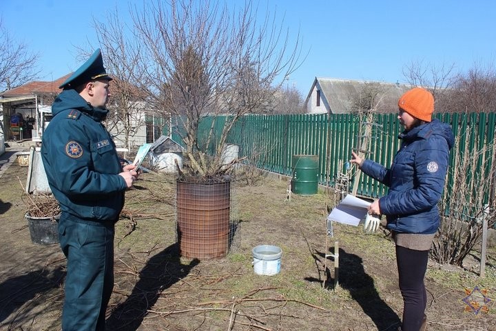 В Бресте идут рейды по предупреждению палов