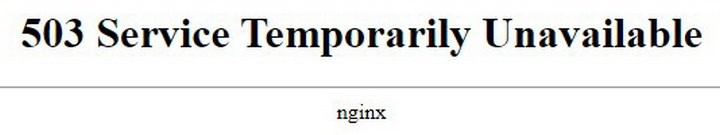 Российский клон Instagram — «Россграм» — сломался до запуска