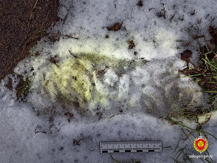 У жителя Малориты пропала бензопила. Остался только чей-то след обуви