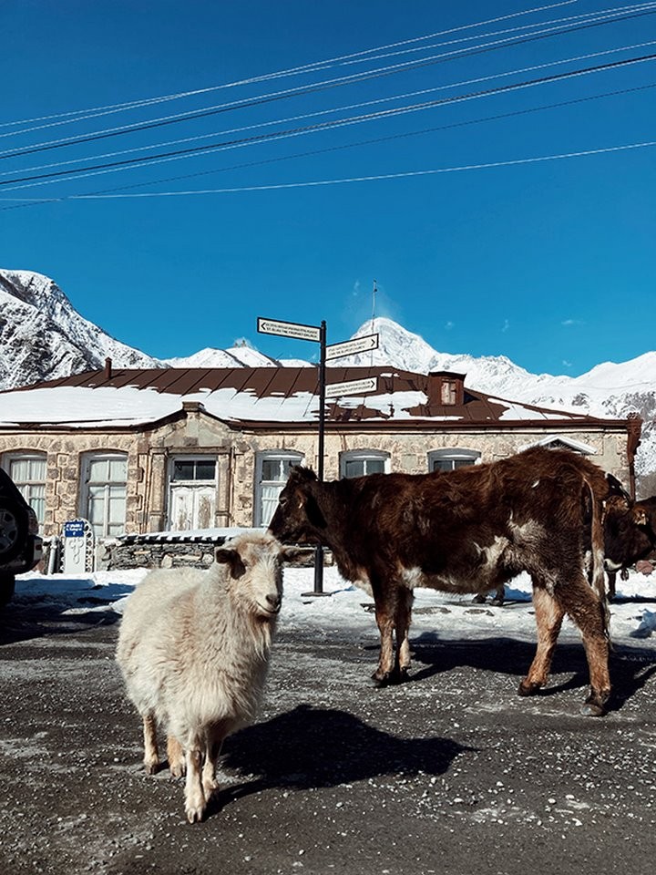 Меньше 600 долларов на двоих. Белоруска съездила в Грузию и рассказывает, за сколько можно отдохнуть