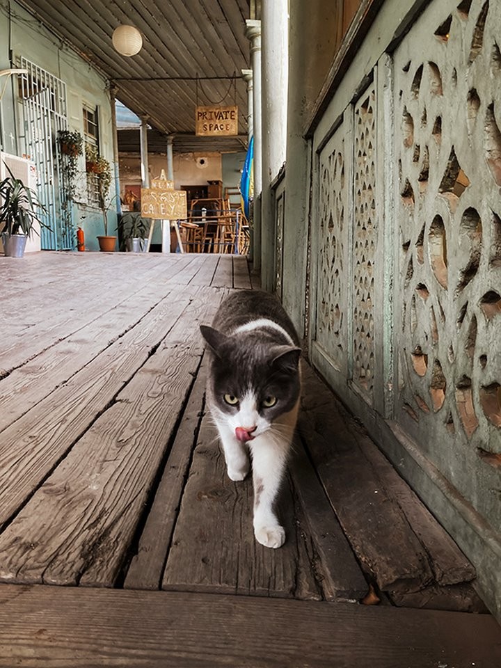 Меньше 600 долларов на двоих. Белоруска съездила в Грузию и рассказывает, за сколько можно отдохнуть