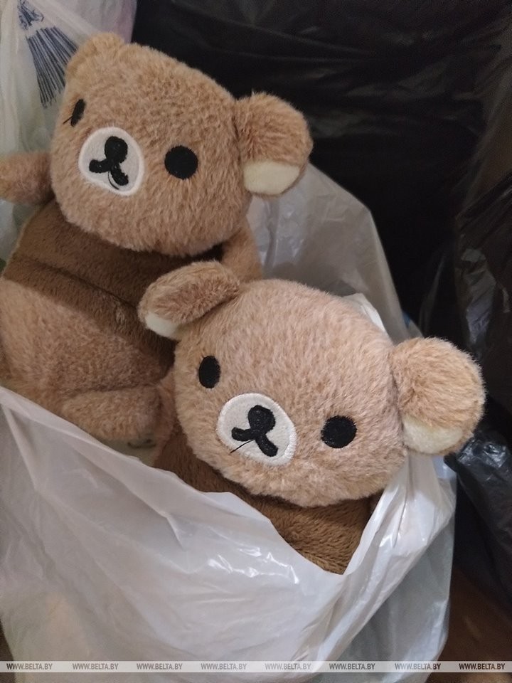 Восемь дней мытарств и неизвестности: многодетную украинскую семью встретили в Бресте