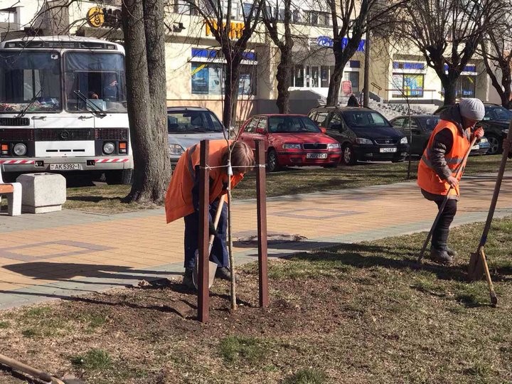 В Бресте стартовал месячник по благоустройству. Фоторепортаж