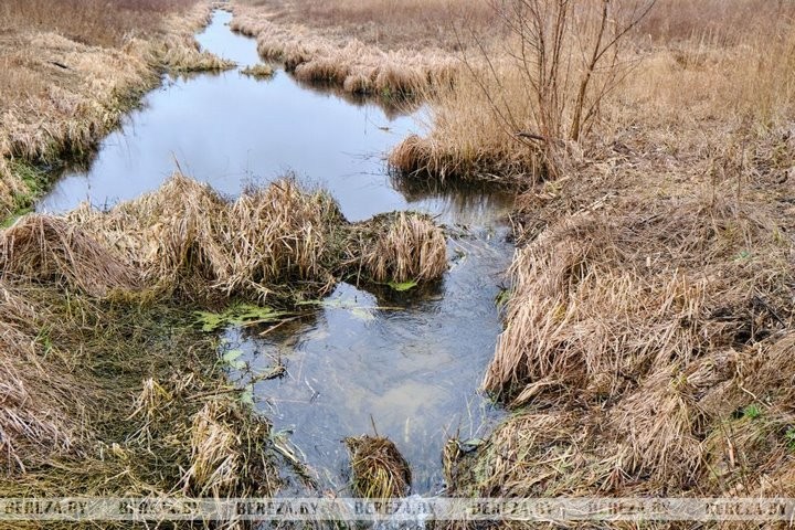 Можно ли набрать воду из родника возле аг. Селец (Брестская область)