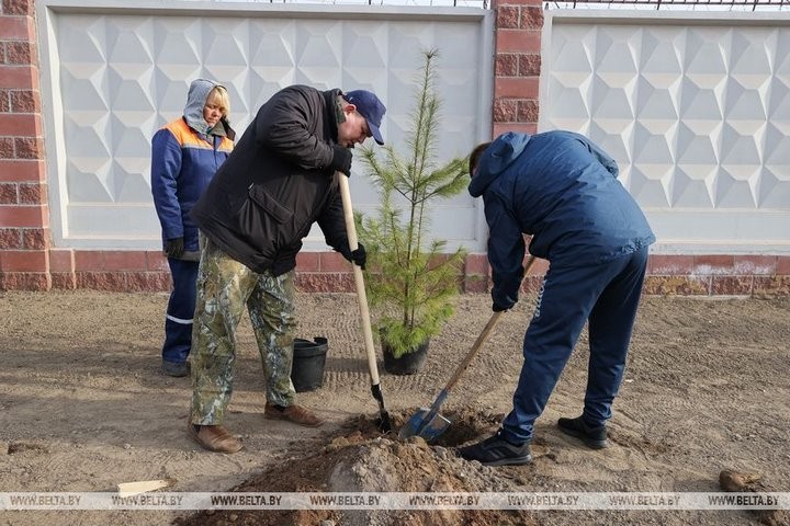 Экоакция по благоустройству Бреста