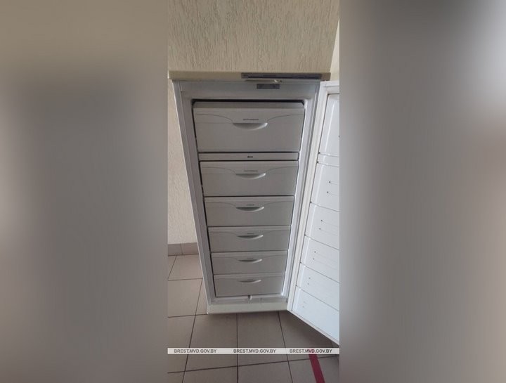 Житель Брестской области сдал квартиру мужчине, а тот взял и продал хозяйский морозильник
