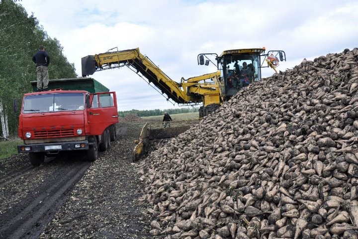 Фото из открытых источников (иллюстративное)