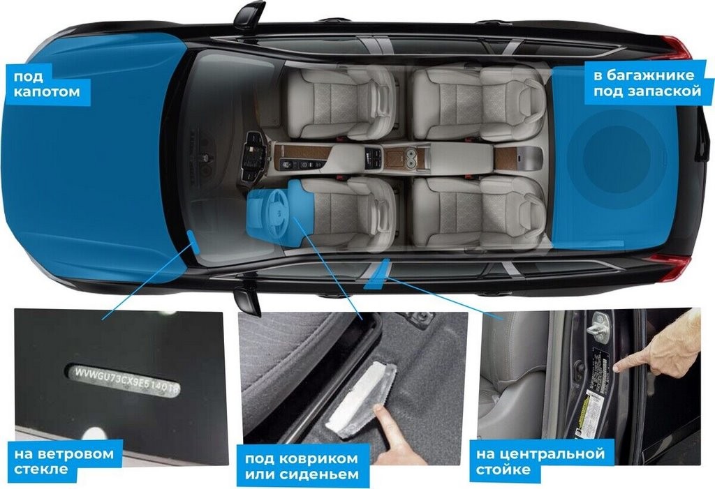 «Я же проездил на ней 7 лет!». У белоруса конфисковали Honda при продаже из-за перебитого VIN-номера