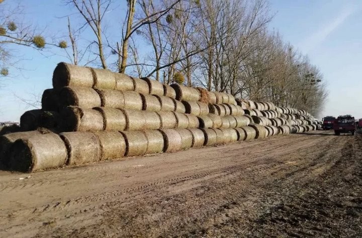 В Брестской области сгорело 10 тонн соломы