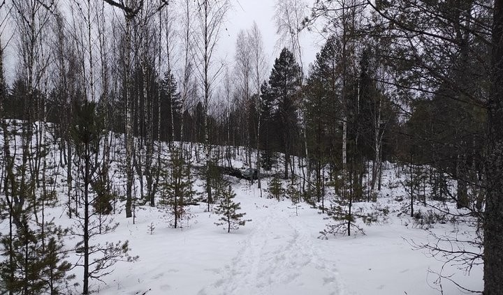 В Беларуси мужчины везли с полигона снаряды в Chevrolet Niva. Во время движения произошел взрыв
