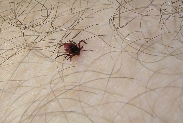 Фото из открытых источников (иллюстративное)