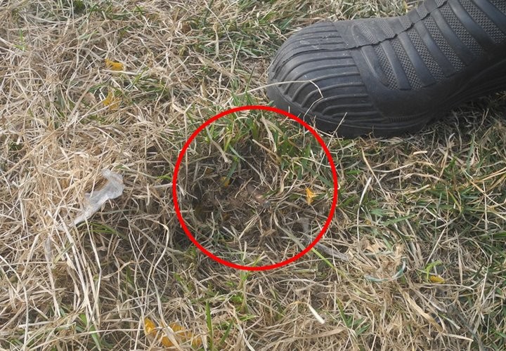 В Гомельском районе ребенок налетел на торчащий из земли штырь. Видео и фото