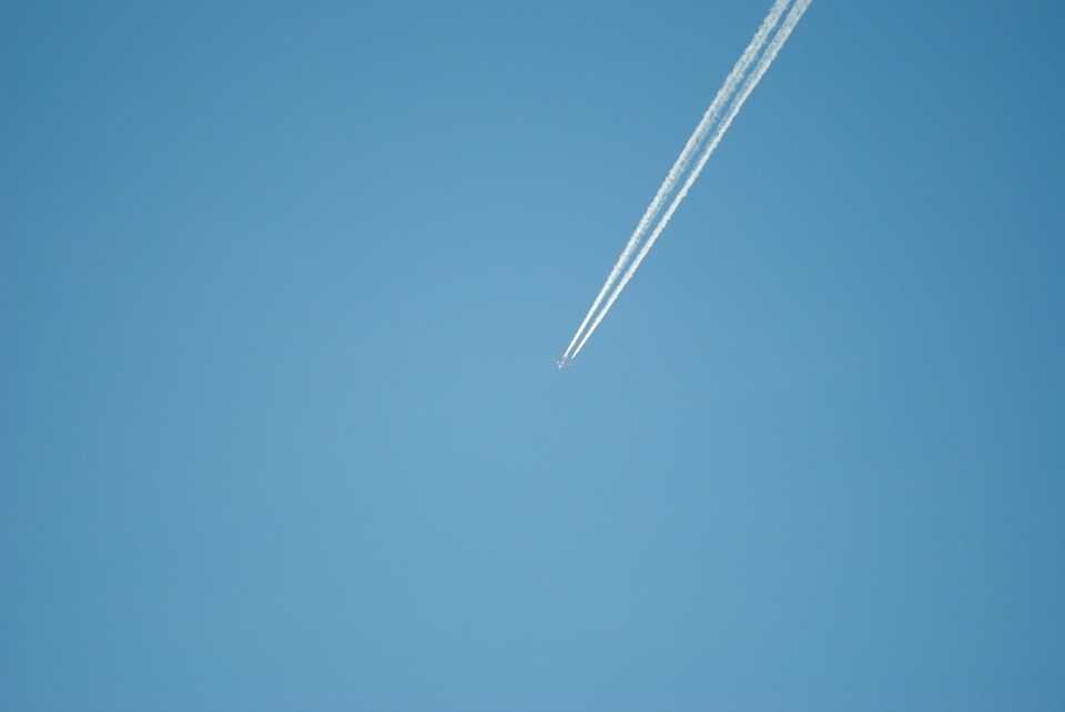 Фото pixabay (иллюстративное)