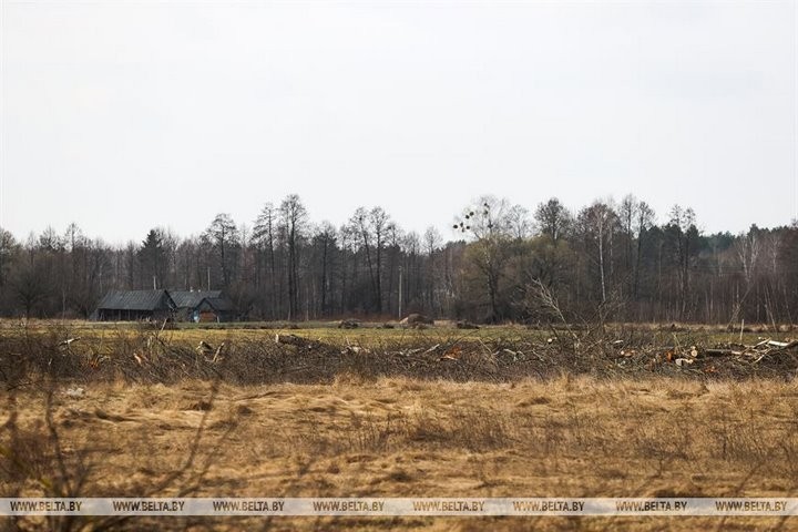 Репортаж с посевной в Кобринском районе