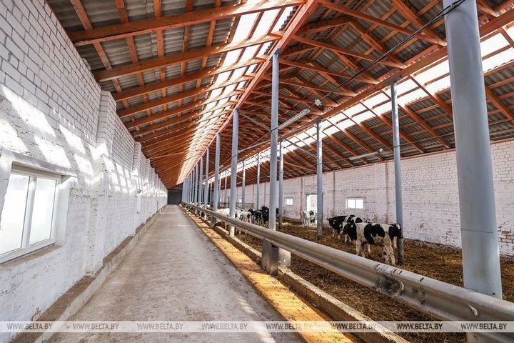 Репортаж с посевной в Кобринском районе