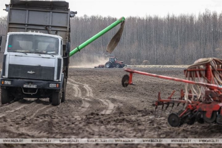 Репортаж с посевной в Кобринском районе