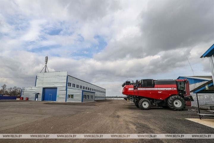 Репортаж с посевной в Кобринском районе
