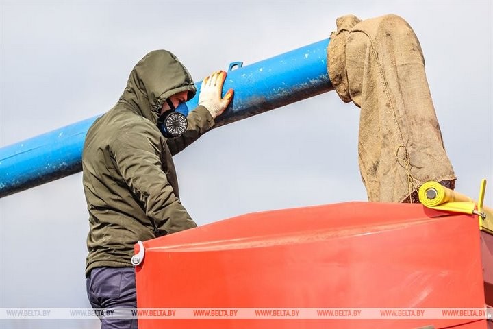 Репортаж с посевной в Кобринском районе