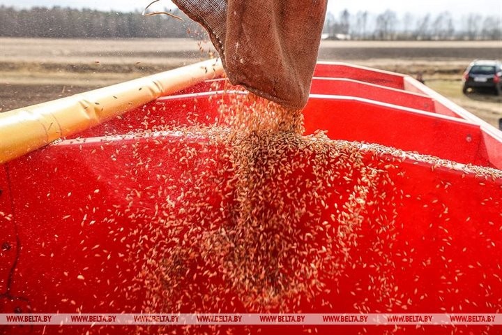 Репортаж с посевной в Кобринском районе