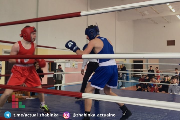 В Жабинке определяли лучших боксеров среди юношей