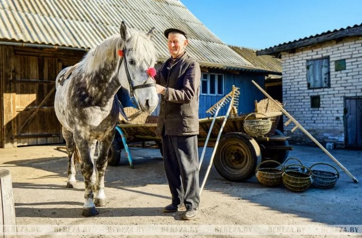 «Трудолюбия ему не занимать». Как житель Брестской области продолжает традицию плетения из лозы