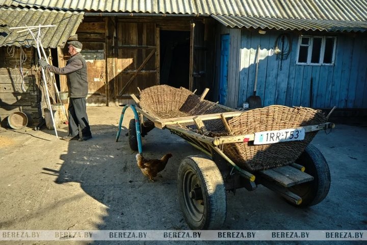 «Трудолюбия ему не занимать». Как житель Брестской области продолжает традицию плетения из лозы