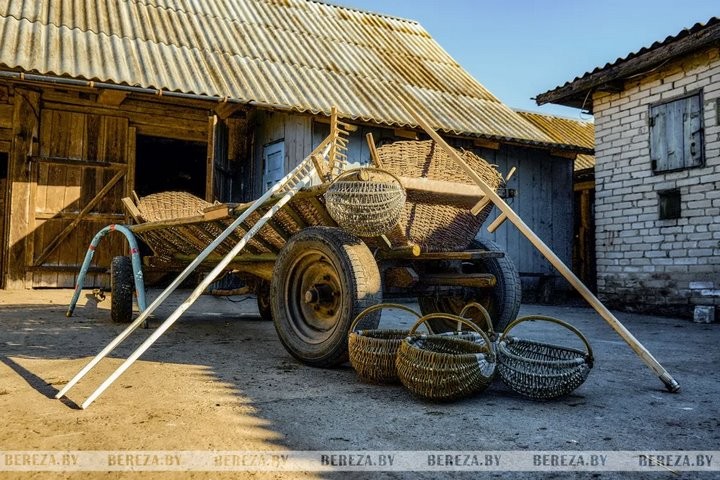 «Трудолюбия ему не занимать». Как житель Брестской области продолжает традицию плетения из лозы