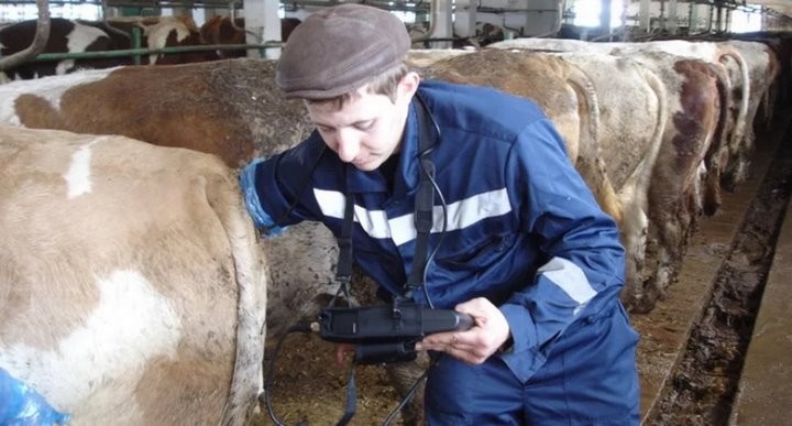 Фото из открытых источников (иллюстративное)