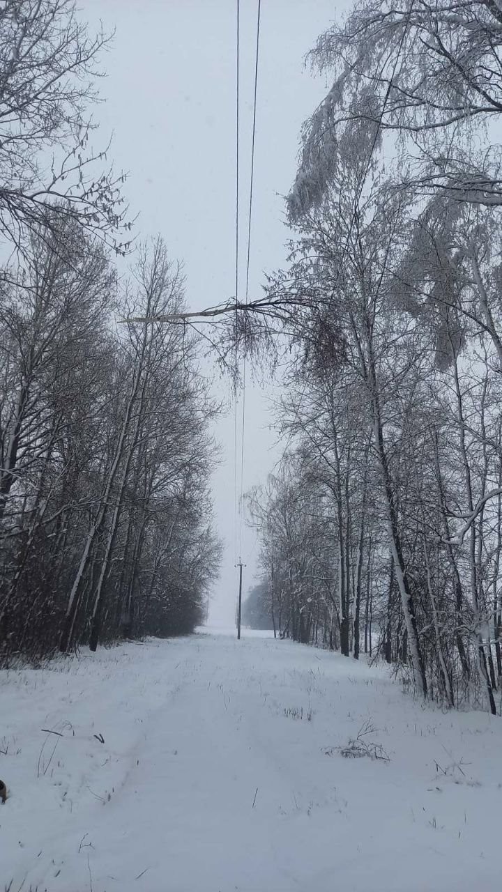 Электроснабжение восстановлено в большинстве пострадавших от непогоды населенных пунктов Брестской области