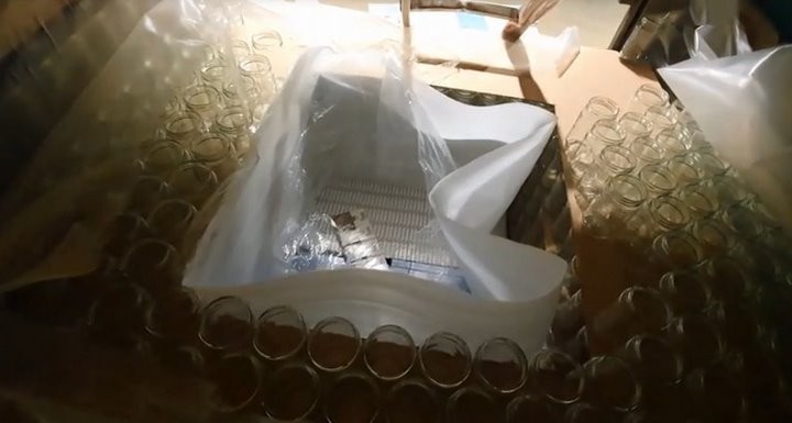 Редкий случай: контрабанду сигарет на полмиллиона евро спрятали среди стеклянных банок в фуре из Беларуси