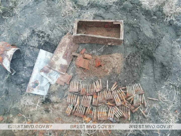 Сельчанин выкопал в огороде две коробки с патронами. Случай в Брестской области