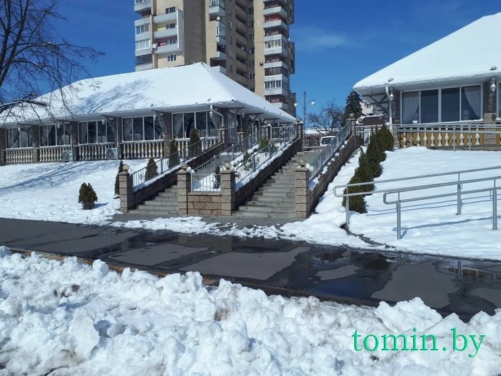 В Бресте расцвела форзиция… на снегу