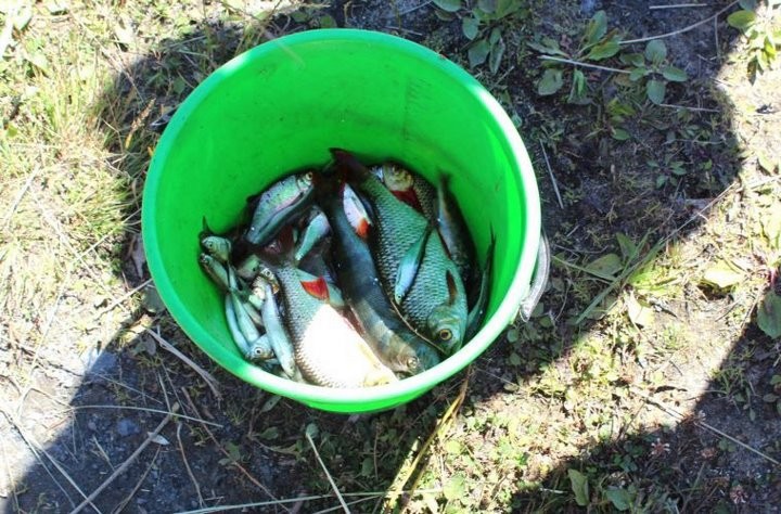 Фото из открытых источников (иллюстративное)