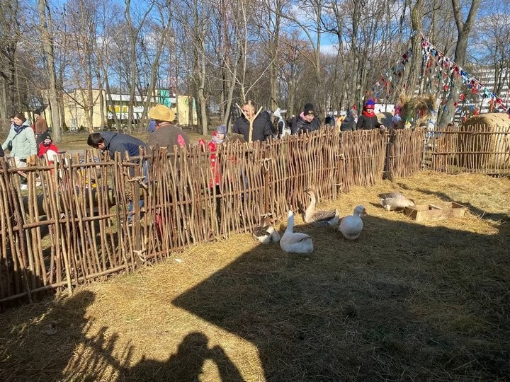 В Бресте на трёх городских площадках проходят традиционные масленичные гуляния