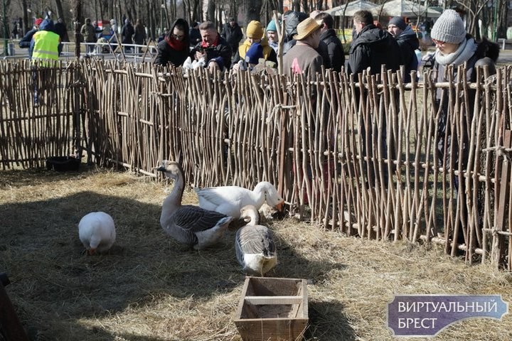 В Бресте провели Масленицу. Фоторепортаж