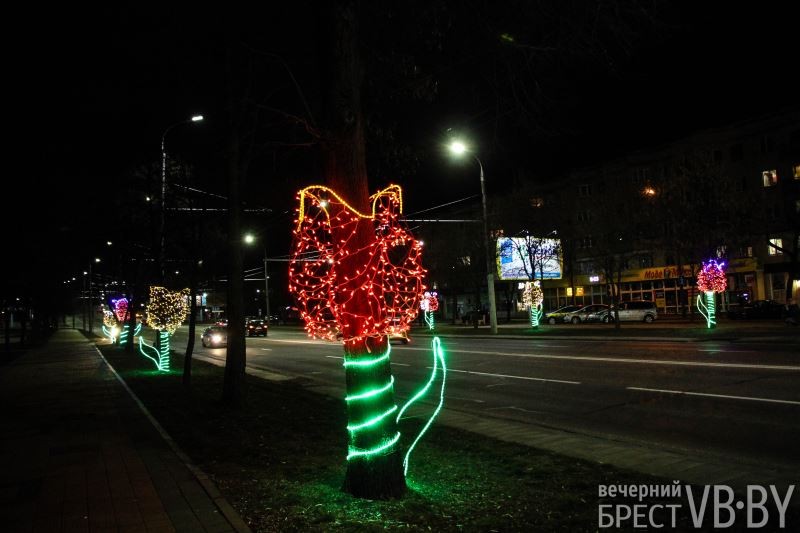 Ночные тюльпаны расцвели на пр. Машерова в Бресте