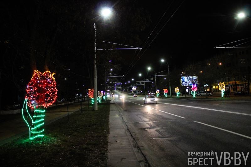 Ночные тюльпаны расцвели на пр. Машерова в Бресте