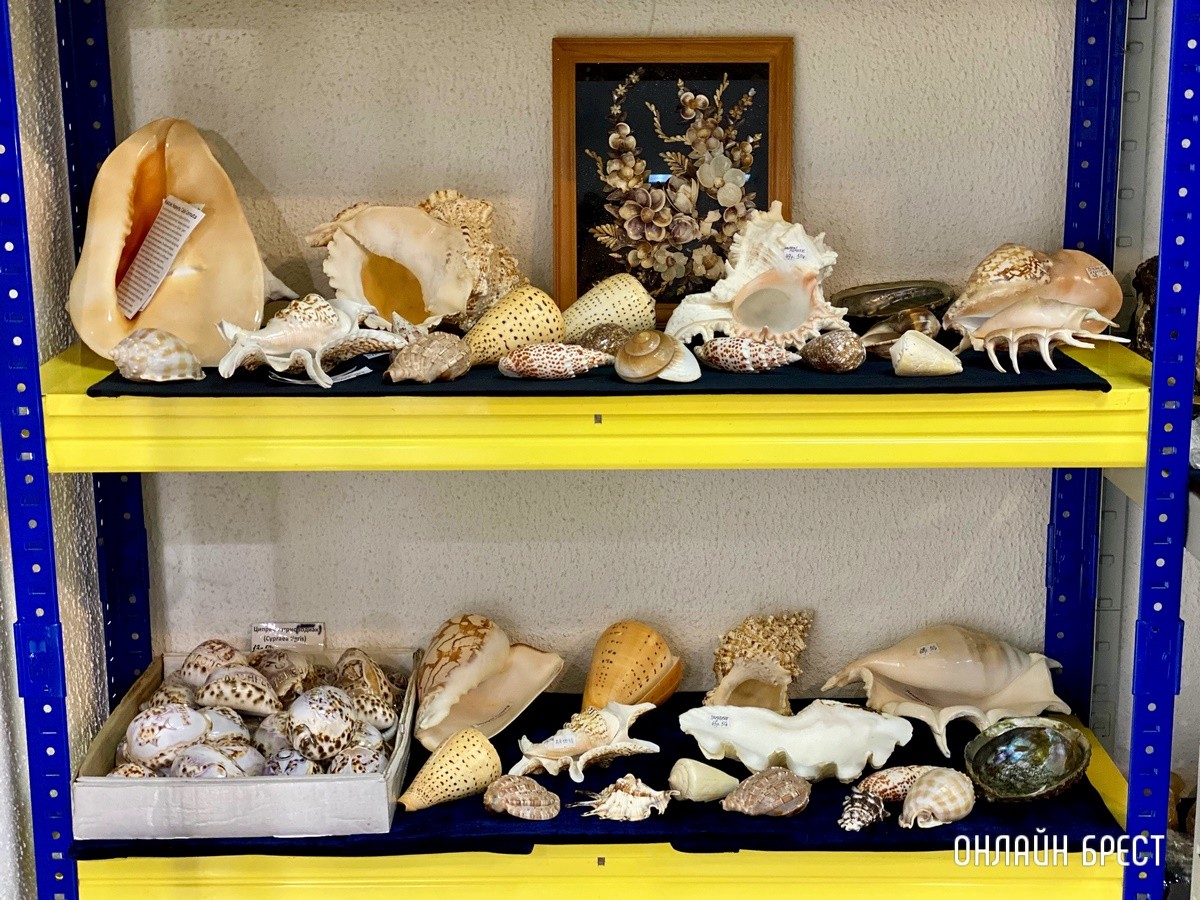 Экспозиция, которая вас удивит! Большой фоторепортаж с выставки «В мире самоцветов» в Бресте, посвященной эксклюзивным украшениям