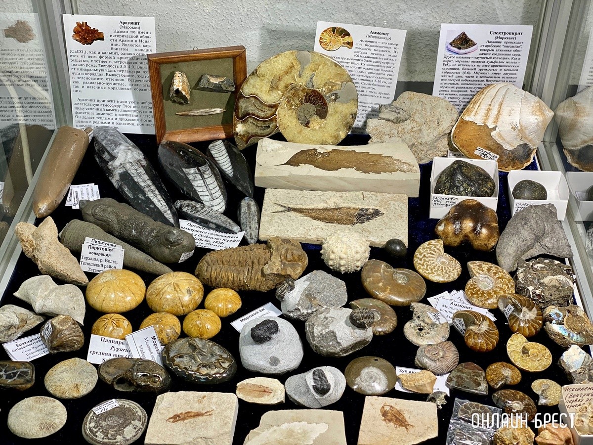 Экспозиция, которая вас удивит! Большой фоторепортаж с выставки «В мире самоцветов» в Бресте, посвященной эксклюзивным украшениям