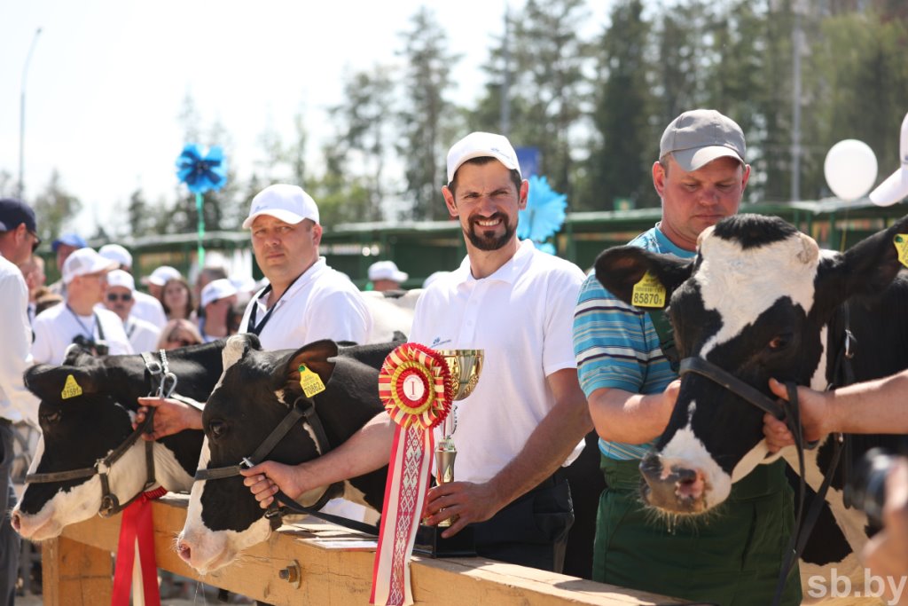 В Беларуси выбрали лучшую корову страны. За титул боролись 24 «конкурсантки» из всех регионов