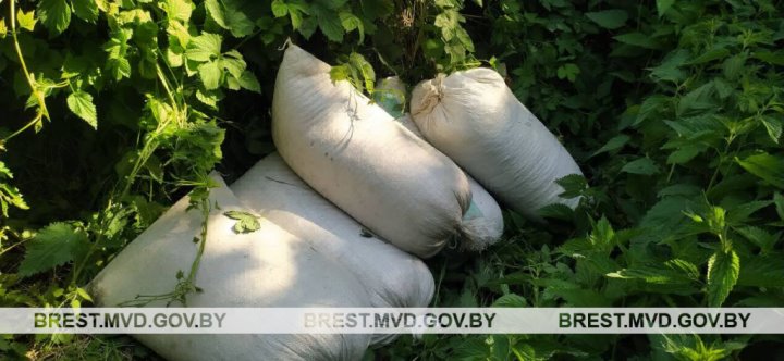 В Брестской области механизатор похитил комбикорм у своего работодателя