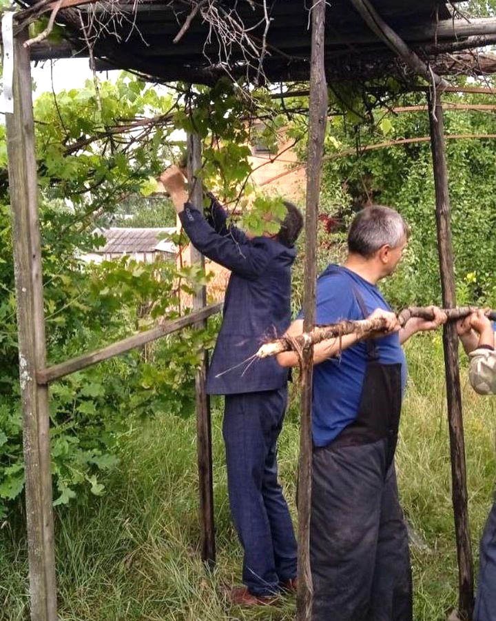 Как жители Пинского района спасают попавших в беду аистов