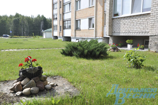 Красота для всех. Как жительница многоэтажки благоустроила свой двор